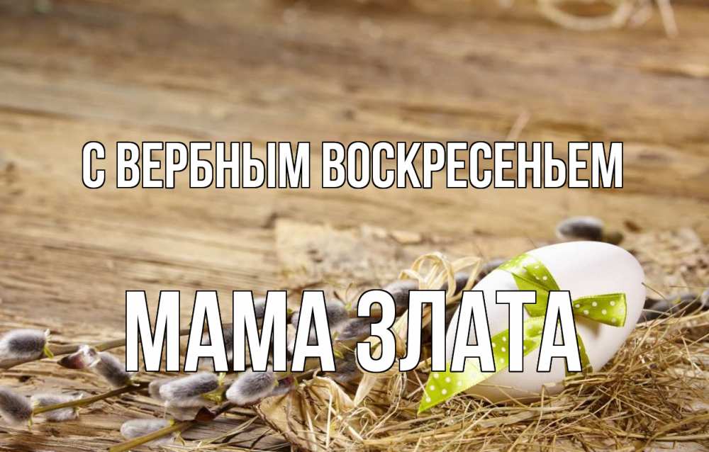 Открытка на каждый день с именем, Мама-Злата С вербным воскресеньем верба Прикольная открытка с пожеланием онлайн скачать бесплатно 