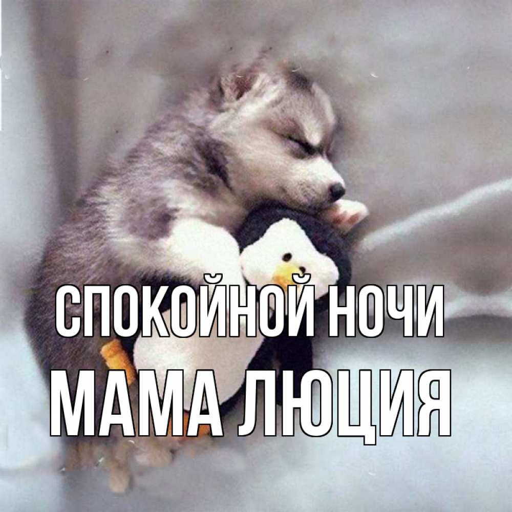 Открытка на каждый день с именем, Мама-Люция Спокойной ночи обнимашки щенка и пингвина Прикольная открытка с пожеланием онлайн скачать бесплатно 