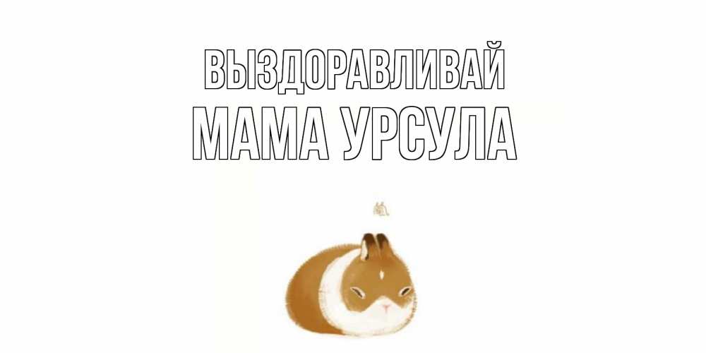 Открытка на каждый день с именем, Мама-Урсула Выздоравливай морская свинка на открытке с пожеланиями не болеть Прикольная открытка с пожеланием онлайн скачать бесплатно 