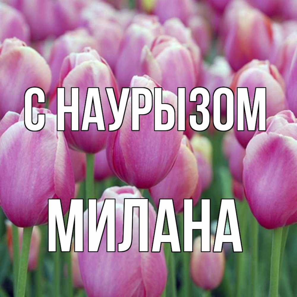 Открытка на каждый день с именем, Милана С наурызом праздник весны наурыз 69 Прикольная открытка с пожеланием онлайн скачать бесплатно 