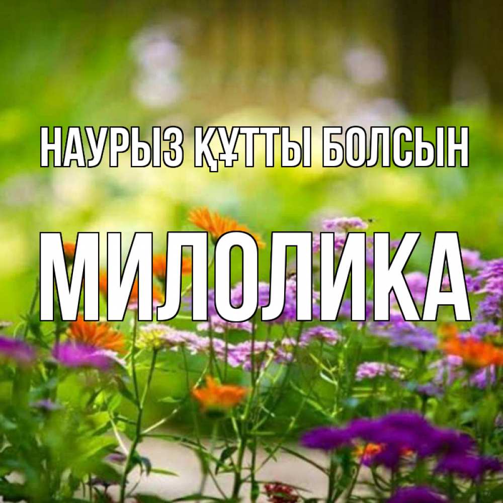 Открытка на каждый день с именем, Милолика Наурыз құтты болсын цветы Прикольная открытка с пожеланием онлайн скачать бесплатно 