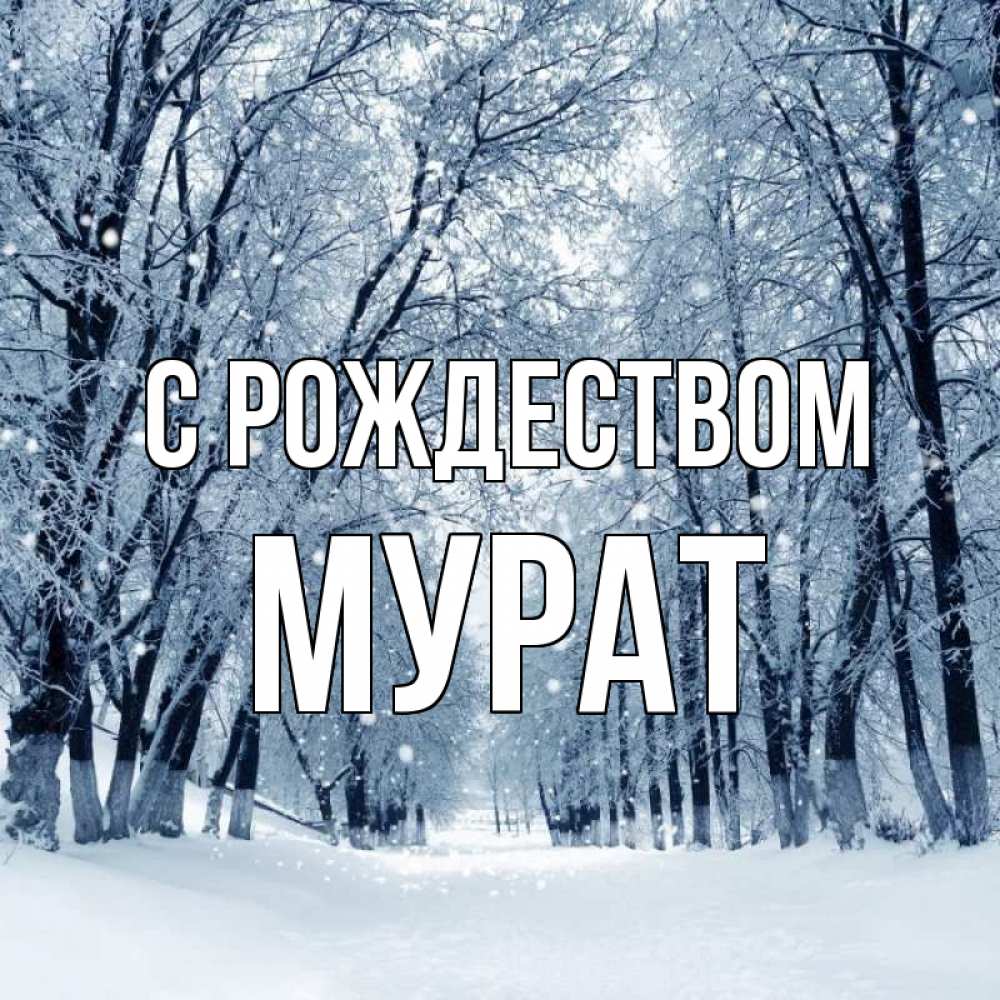 Открытка на каждый день с именем, Мурат С рождеством снег, лес, парк Прикольная открытка с пожеланием онлайн скачать бесплатно 