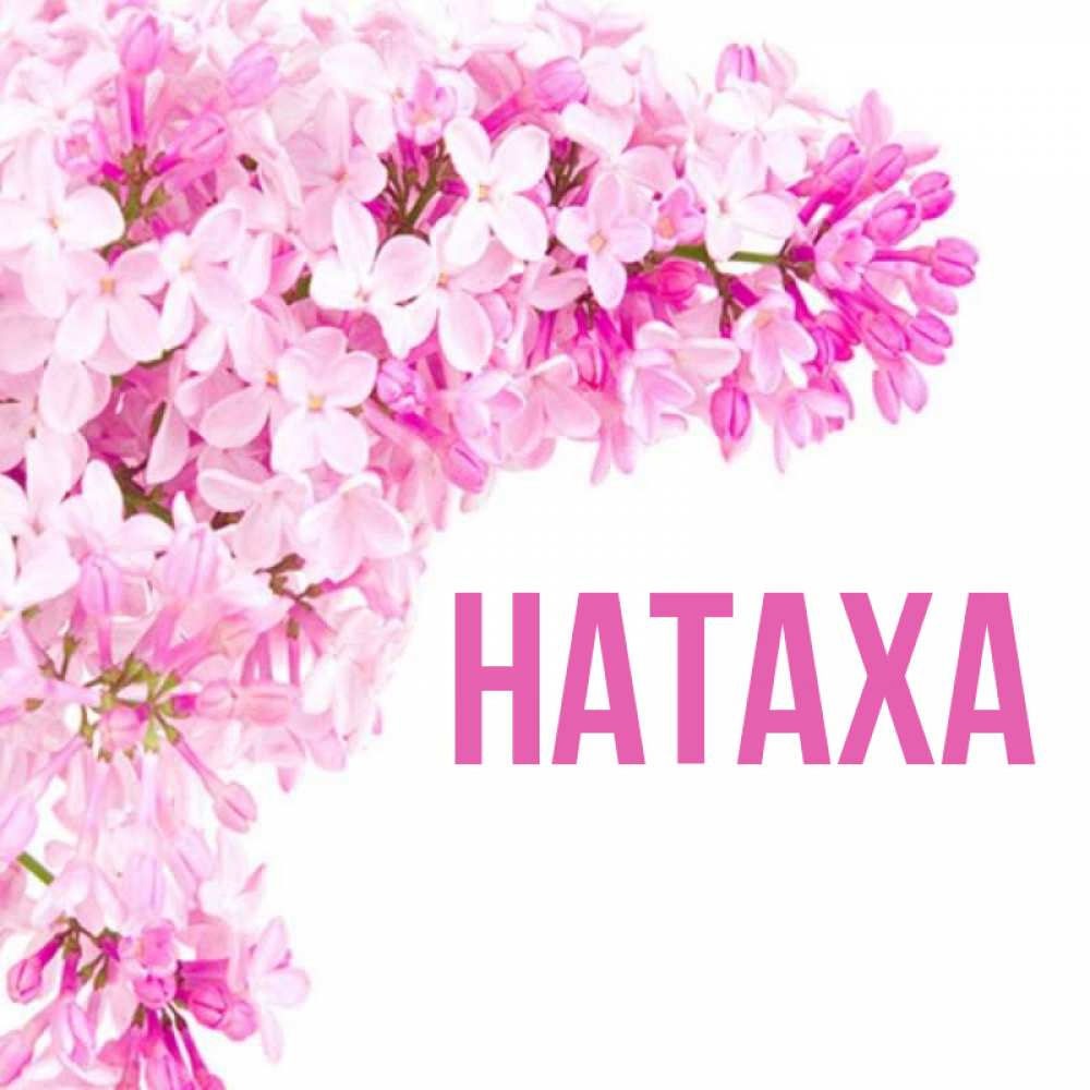 Натаха