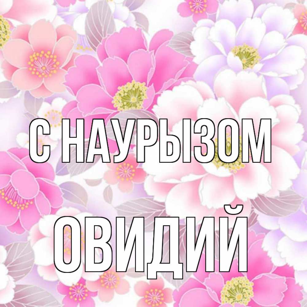 Открытка на каждый день с именем, Овидий С наурызом для женщин Прикольная открытка с пожеланием онлайн скачать бесплатно 