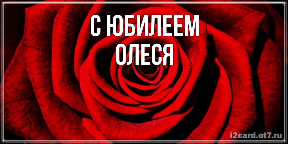 Открытка на каждый день с именем, Олеся С юбилеем алая роза Прикольная открытка с пожеланием онлайн скачать бесплатно 