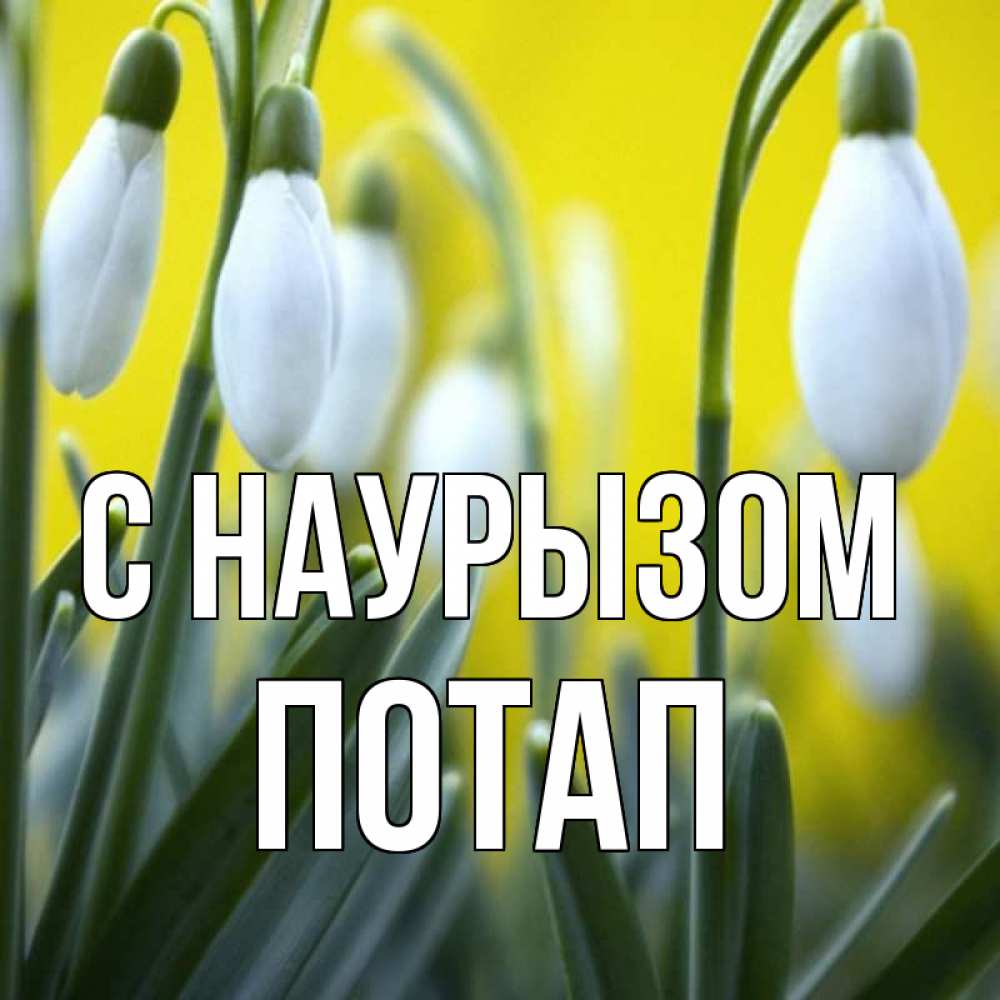 Открытка на каждый день с именем, Потап С наурызом весенние цветы Прикольная открытка с пожеланием онлайн скачать бесплатно 