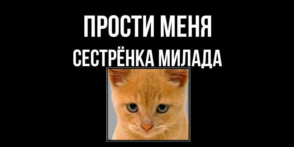 Открытка на каждый день с именем, Сестрёнка-Милада Прости меня рыжий грустный кот просит прощения Прикольная открытка с пожеланием онлайн скачать бесплатно 