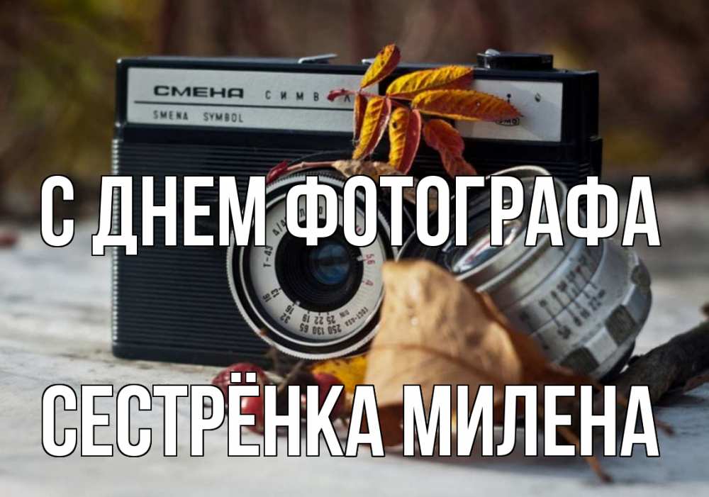 Открытка на каждый день с именем, Сестрёнка-Милена С днем фотографа с днем фотографа Прикольная открытка с пожеланием онлайн скачать бесплатно 