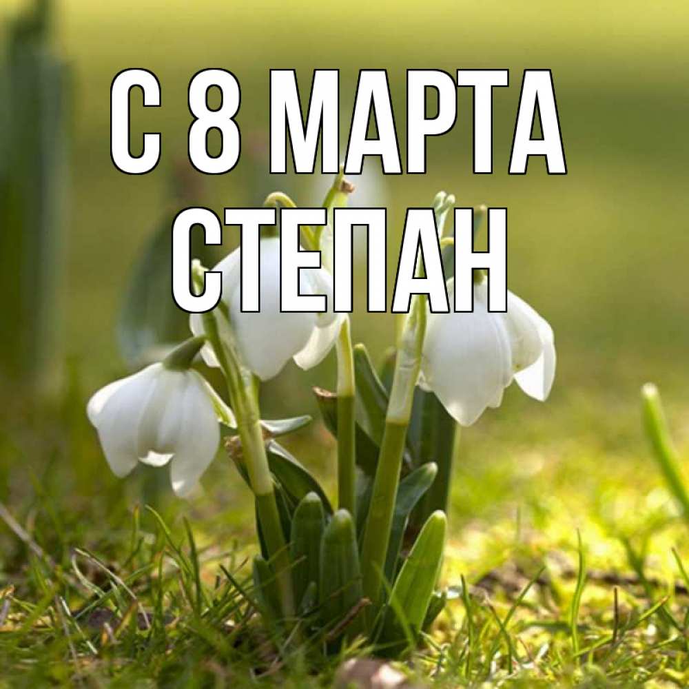 Открытка на каждый день с именем, Степан С 8 МАРТА ранние цветы 2 Прикольная открытка с пожеланием онлайн скачать бесплатно 
