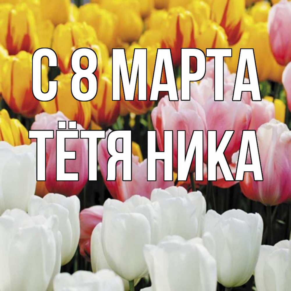Открытка на каждый день с именем, Тётя-Ника С 8 МАРТА разноцветные цветы Прикольная открытка с пожеланием онлайн скачать бесплатно 