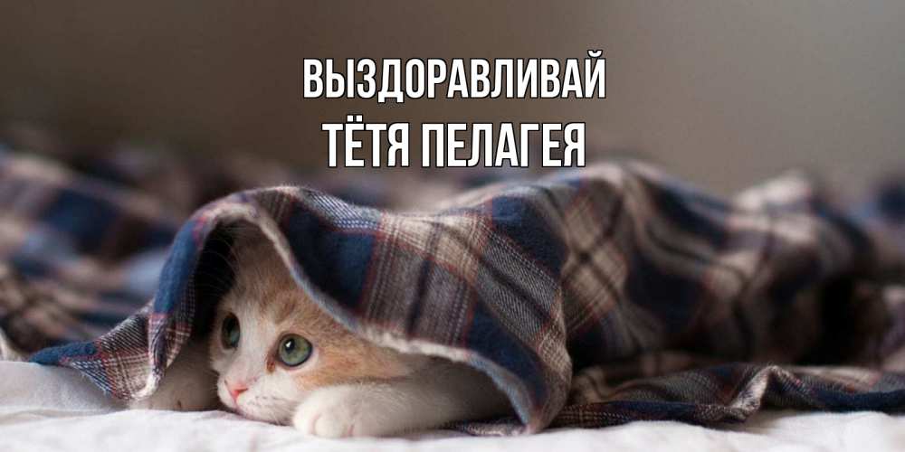 Открытка на каждый день с именем, Тётя-Пелагея Выздоравливай не болейте с котиком Прикольная открытка с пожеланием онлайн скачать бесплатно 