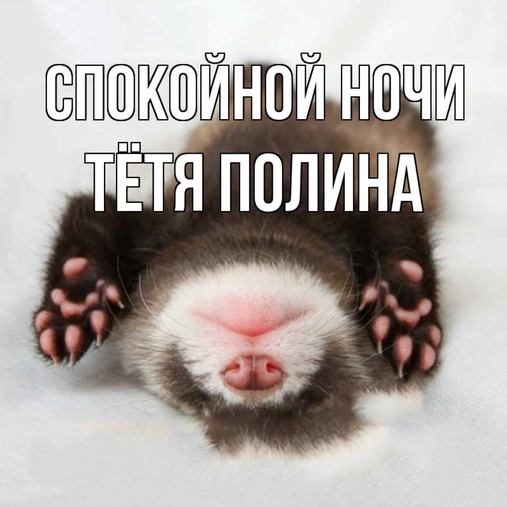 Открытка на каждый день с именем, Тётя-Полина Спокойной ночи зверек Прикольная открытка с пожеланием онлайн скачать бесплатно 