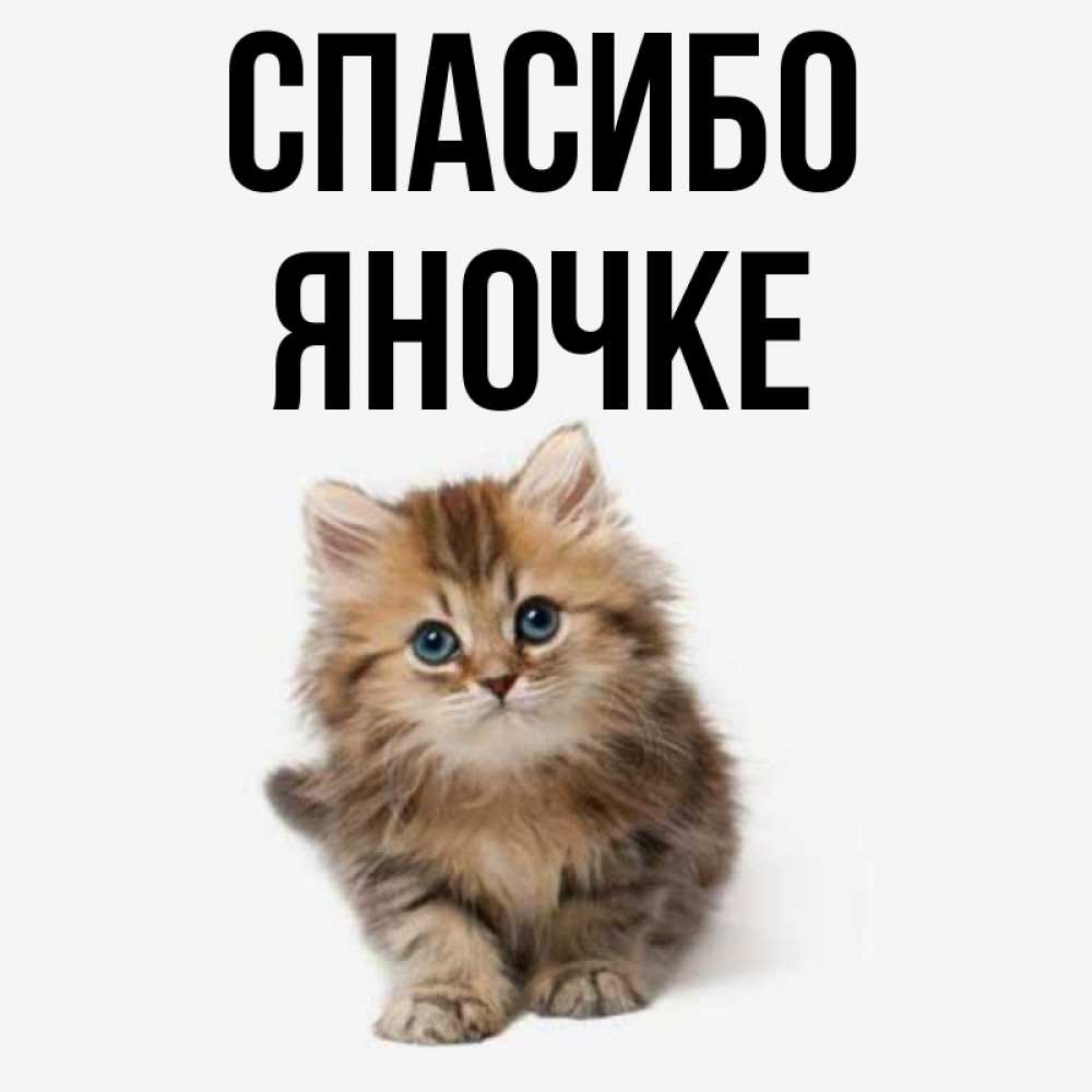 Спасибо Яночка Картинки