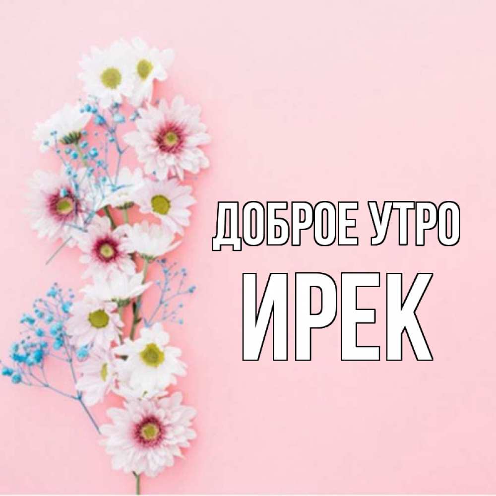 Картинки доброе утро люда картинки