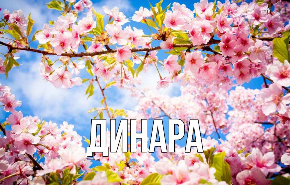 Открытка на каждый день с именем, Динара Главная С 1 мая Прикольная открытка с пожеланием онлайн скачать бесплатно 