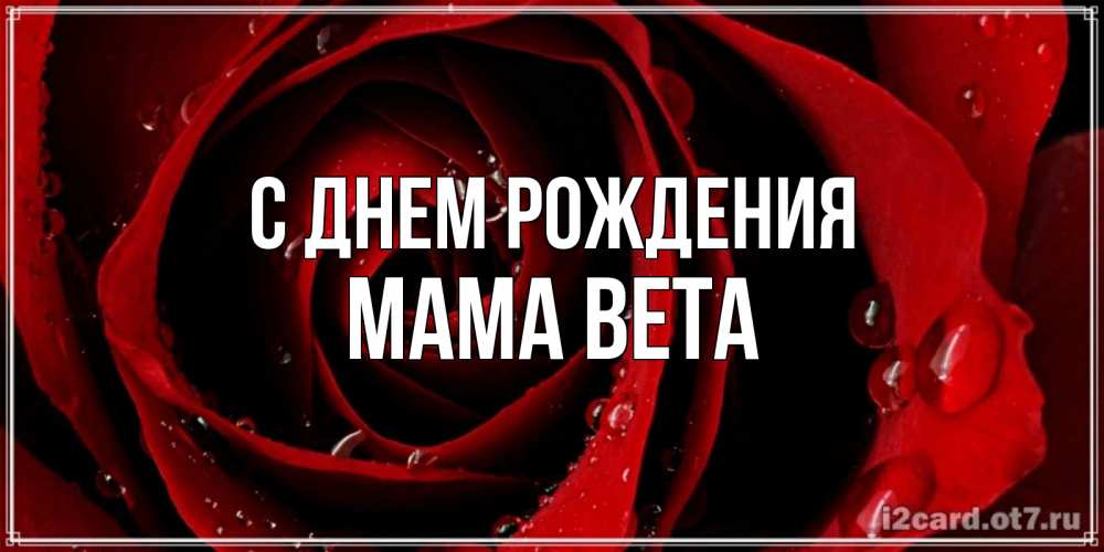 Открытка на каждый день с именем, Мама-Вета С днем рождения крупная бордовая роза Прикольная открытка с пожеланием онлайн скачать бесплатно 