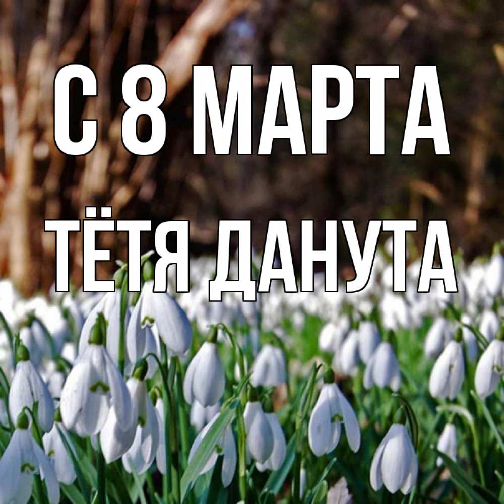 Открытка на каждый день с именем, Тётя-Данута С 8 МАРТА с подснежниками 1 Прикольная открытка с пожеланием онлайн скачать бесплатно 