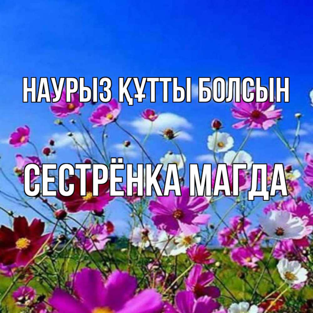 Открытка на каждый день с именем, Сестрёнка-Магда Наурыз құтты болсын цветы Прикольная открытка с пожеланием онлайн скачать бесплатно 