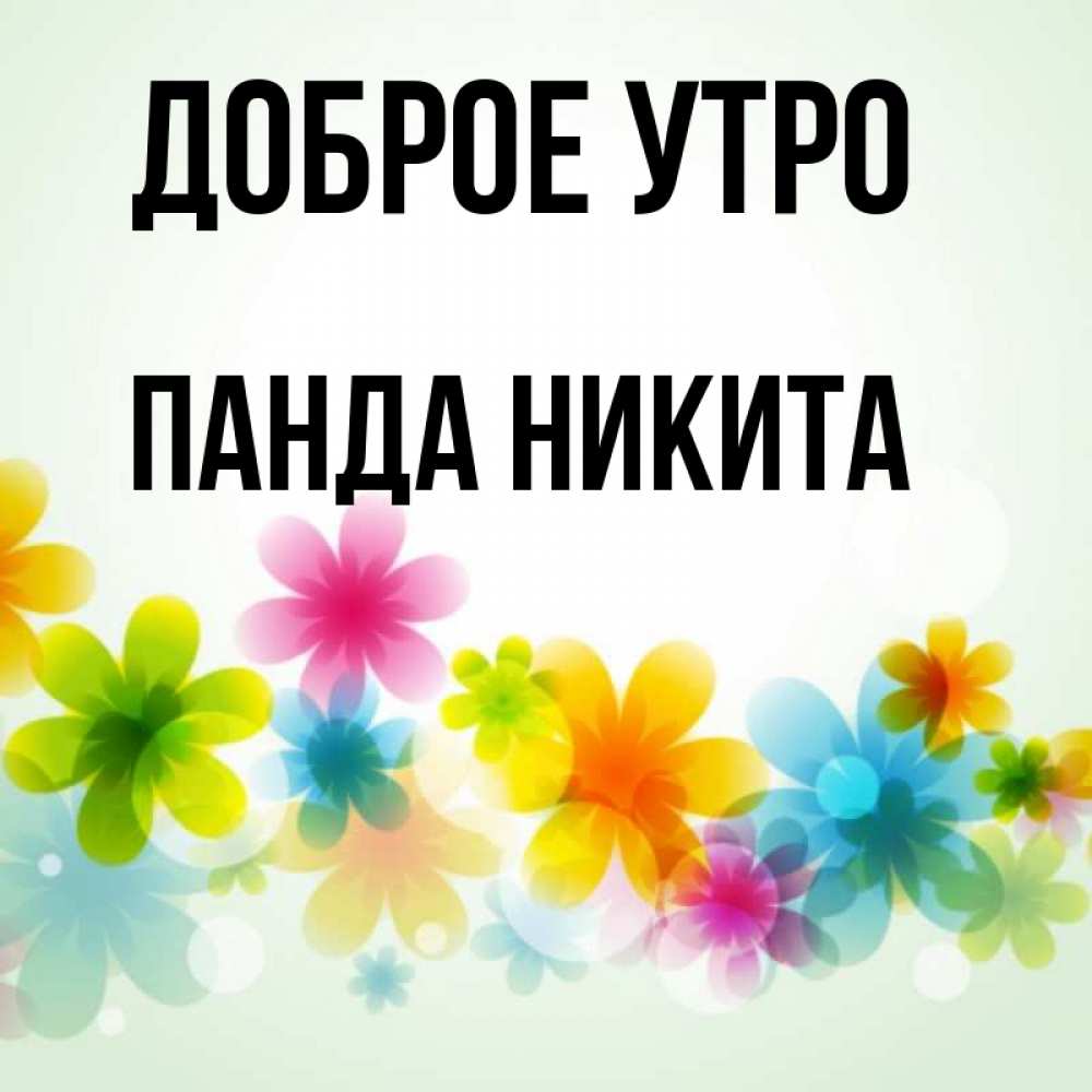 Открытка на каждый день с именем, панда-Никита Доброе утро позитивные цветочки Прикольная открытка с пожеланием онлайн скачать бесплатно 