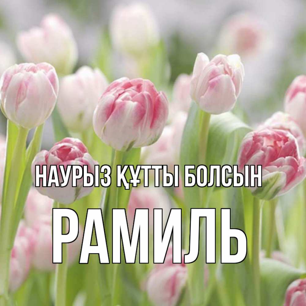 Открытка на каждый день с именем, Рамиль Наурыз құтты болсын цветы Прикольная открытка с пожеланием онлайн скачать бесплатно 