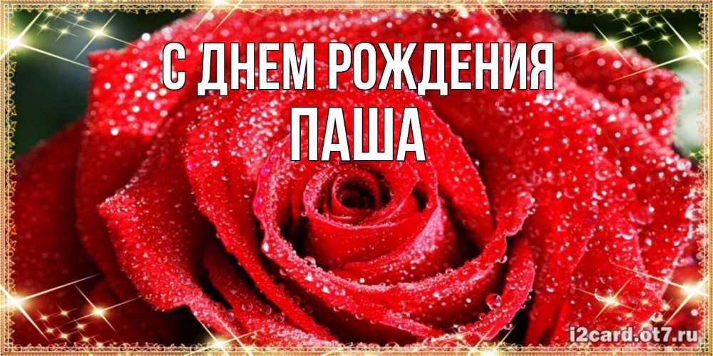 Открытка на каждый день с именем, Паша С днем рождения роса и роза. открытка с красивой розой Прикольная открытка с пожеланием онлайн скачать бесплатно 