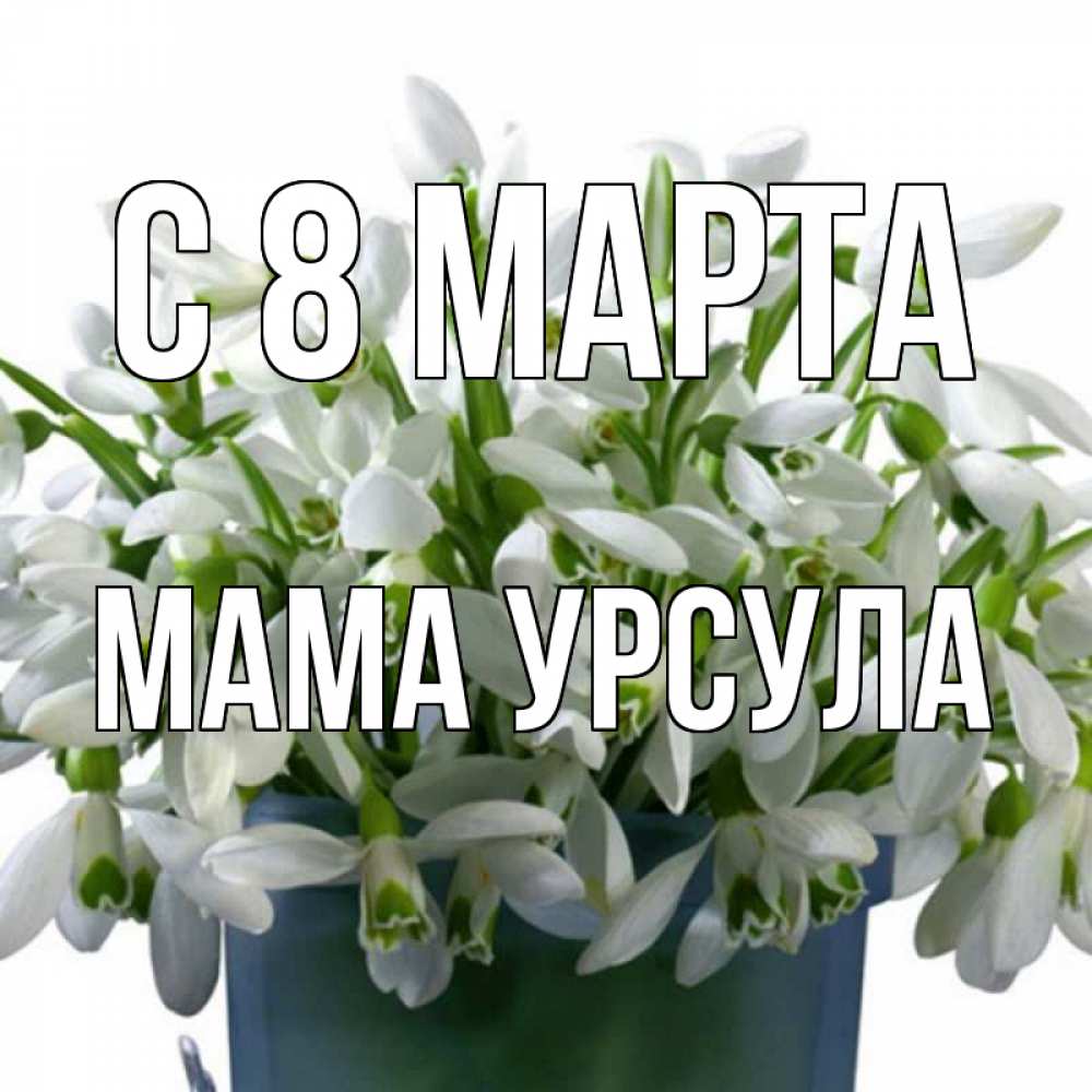 Открытка на каждый день с именем, Мама-Урсула С 8 марта цветы к международному женскому дню Прикольная открытка с пожеланием онлайн скачать бесплатно 