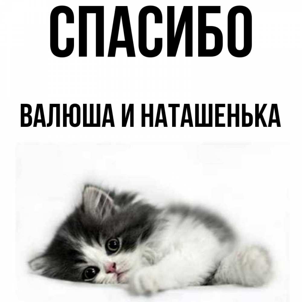 Спасибо Наташенька