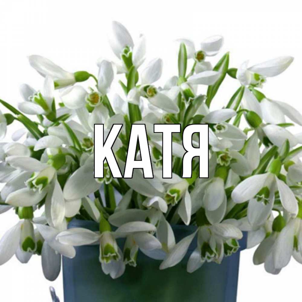 Открытка на каждый день с именем, Катя Главная цветы к наурызу Прикольная открытка с пожеланием онлайн скачать бесплатно 