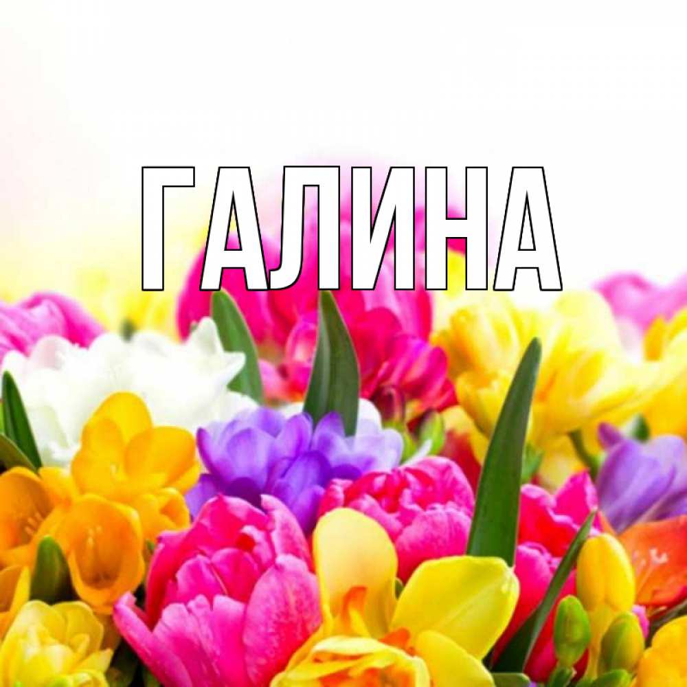 Картинка  с именем , Галина