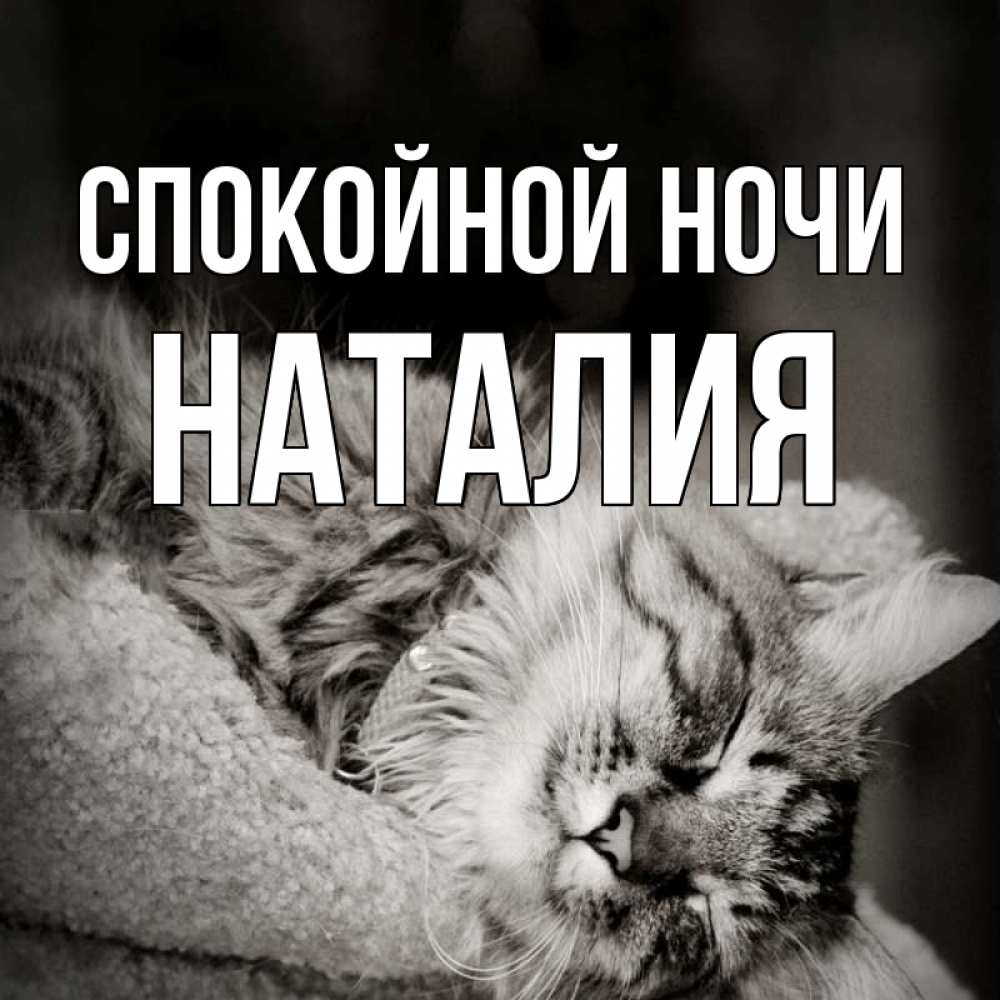 Спокойной ночи картинки с животными с надписями