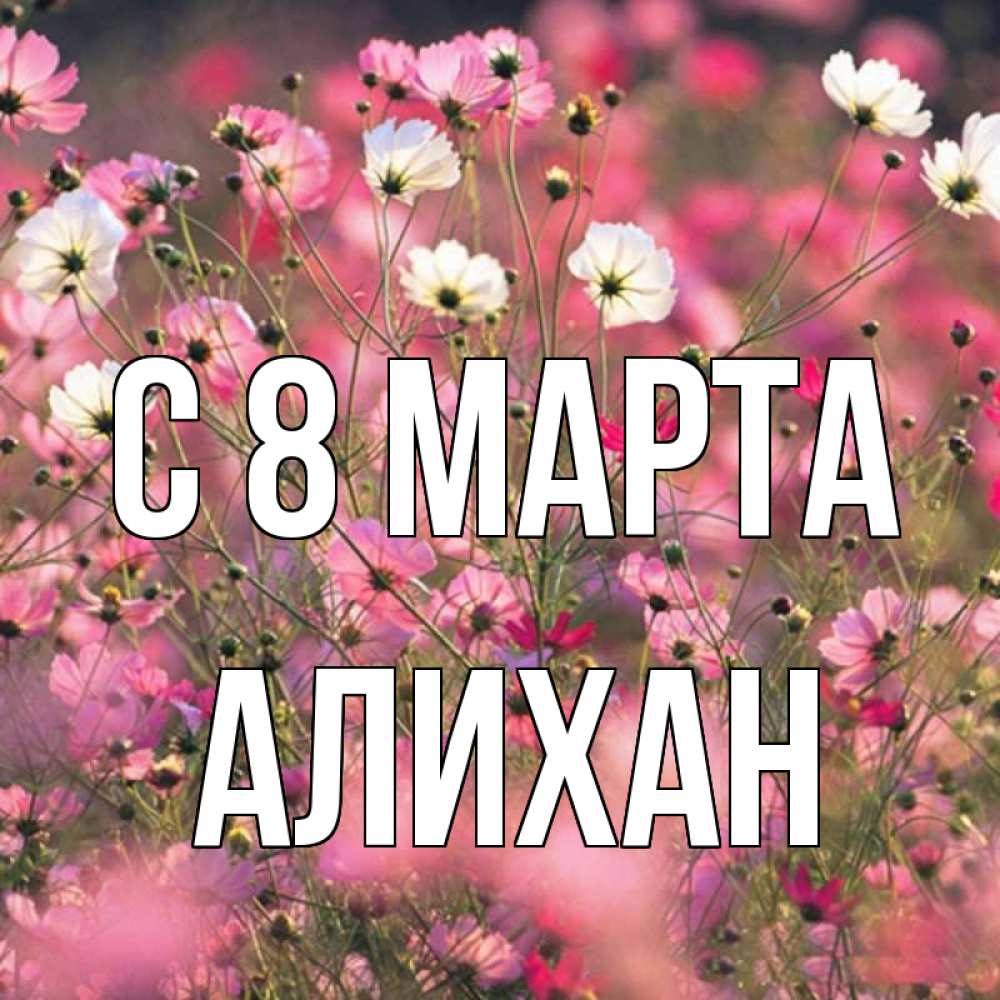 Открытка на каждый день с именем, Алихан С 8 МАРТА красиво 1 Прикольная открытка с пожеланием онлайн скачать бесплатно 