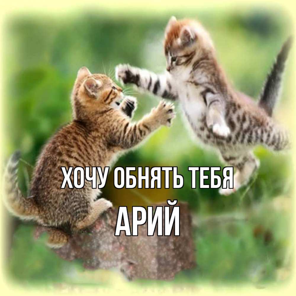 Открытка на каждый день с именем, Арий Хочу обнять тебя игры котят Прикольная открытка с пожеланием онлайн скачать бесплатно 