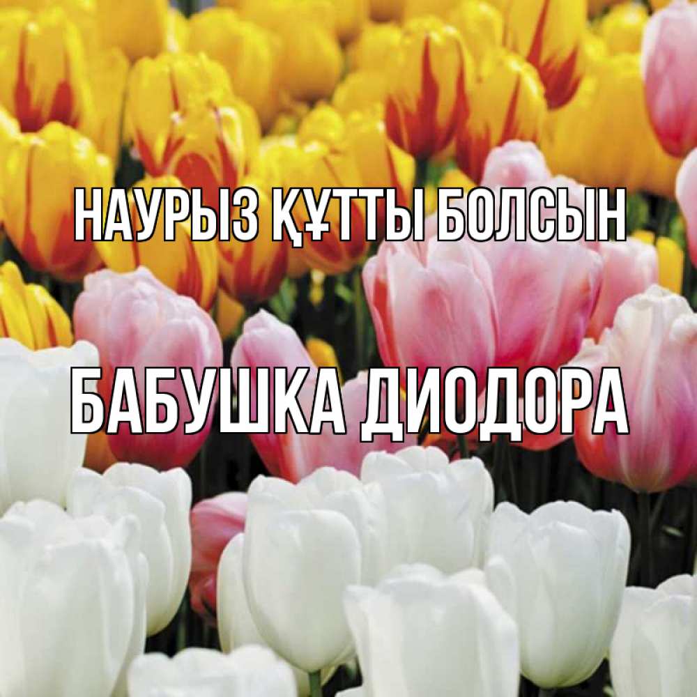 Открытка на каждый день с именем, Бабушка-Диодора Наурыз құтты болсын разноцветные цветы Прикольная открытка с пожеланием онлайн скачать бесплатно 