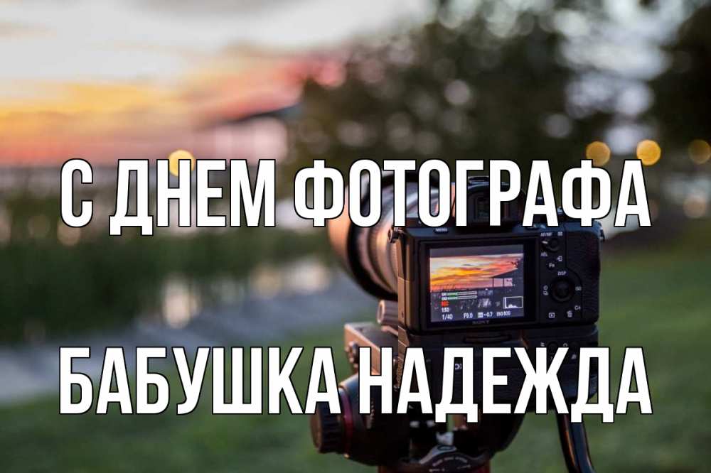 Открытка на каждый день с именем, Бабушка-Надежда С днем фотографа с днем фотографа Прикольная открытка с пожеланием онлайн скачать бесплатно 