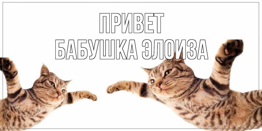 Открытка на каждый день с именем, Бабушка-Элоиза Привет кот Прикольная открытка с пожеланием онлайн скачать бесплатно 