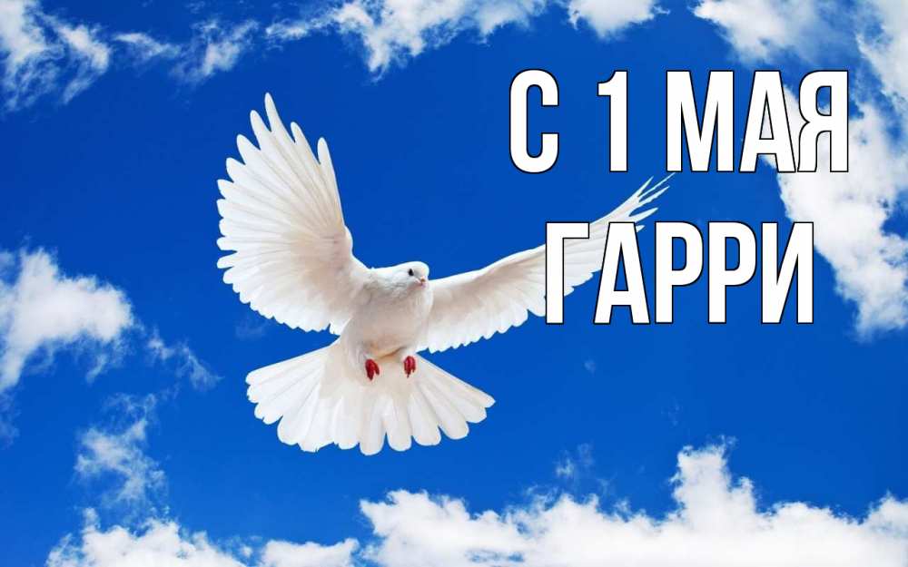 Открытка на каждый день с именем, Гарри С 1 мая С 1 мая 1 Прикольная открытка с пожеланием онлайн скачать бесплатно 