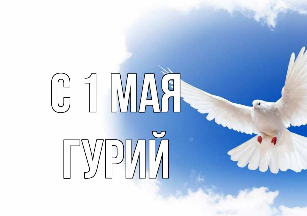 Открытка на каждый день с именем, Гурий С 1 мая С 1 мая Прикольная открытка с пожеланием онлайн скачать бесплатно 