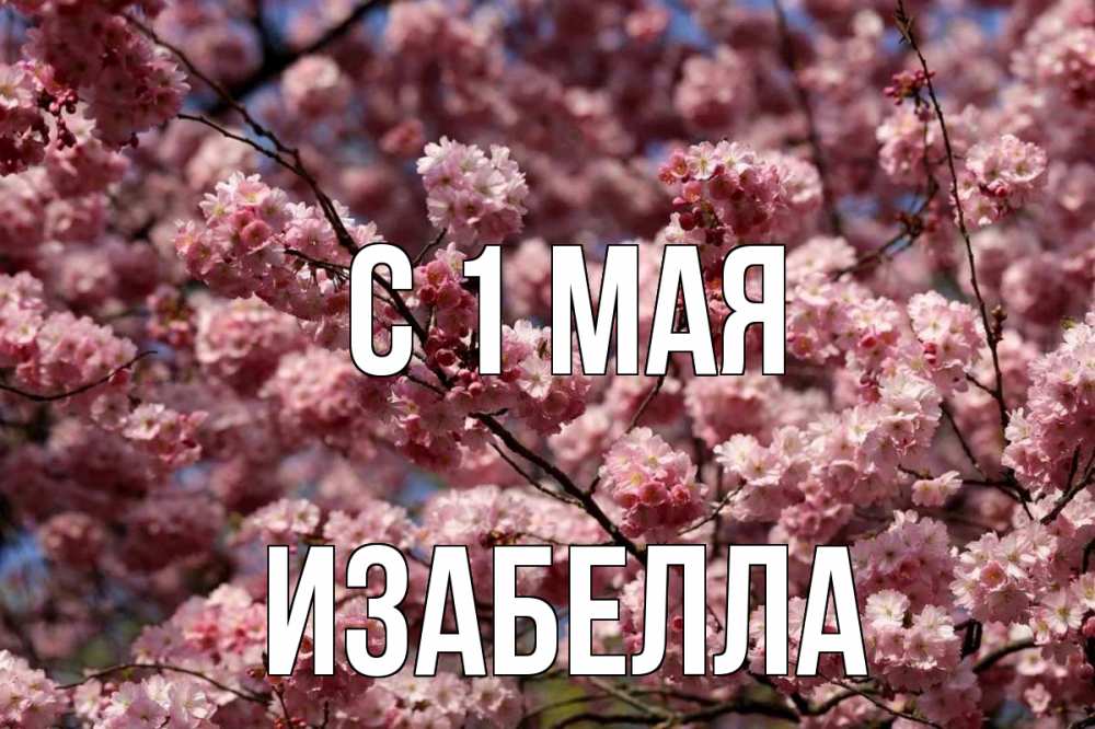 Открытка на каждый день с именем, Изабелла С 1 мая С 1 мая Прикольная открытка с пожеланием онлайн скачать бесплатно 