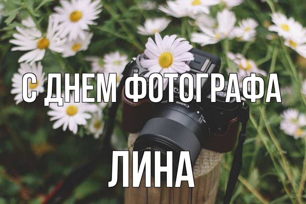 Открытка на каждый день с именем, Лина С днем фотографа с днем фотографа Прикольная открытка с пожеланием онлайн скачать бесплатно 