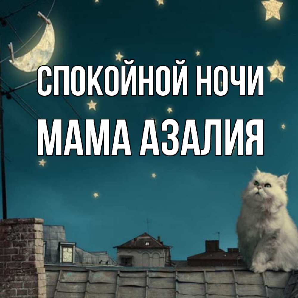 Открытка на каждый день с именем, Мама-Азалия Спокойной ночи белый кот сидит на крыше Прикольная открытка с пожеланием онлайн скачать бесплатно 