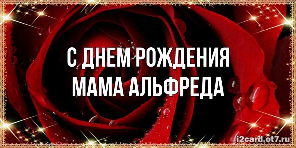 Открытка на каждый день с именем, Мама-Альфреда С днем рождения цветок в росе на день рождения Прикольная открытка с пожеланием онлайн скачать бесплатно 