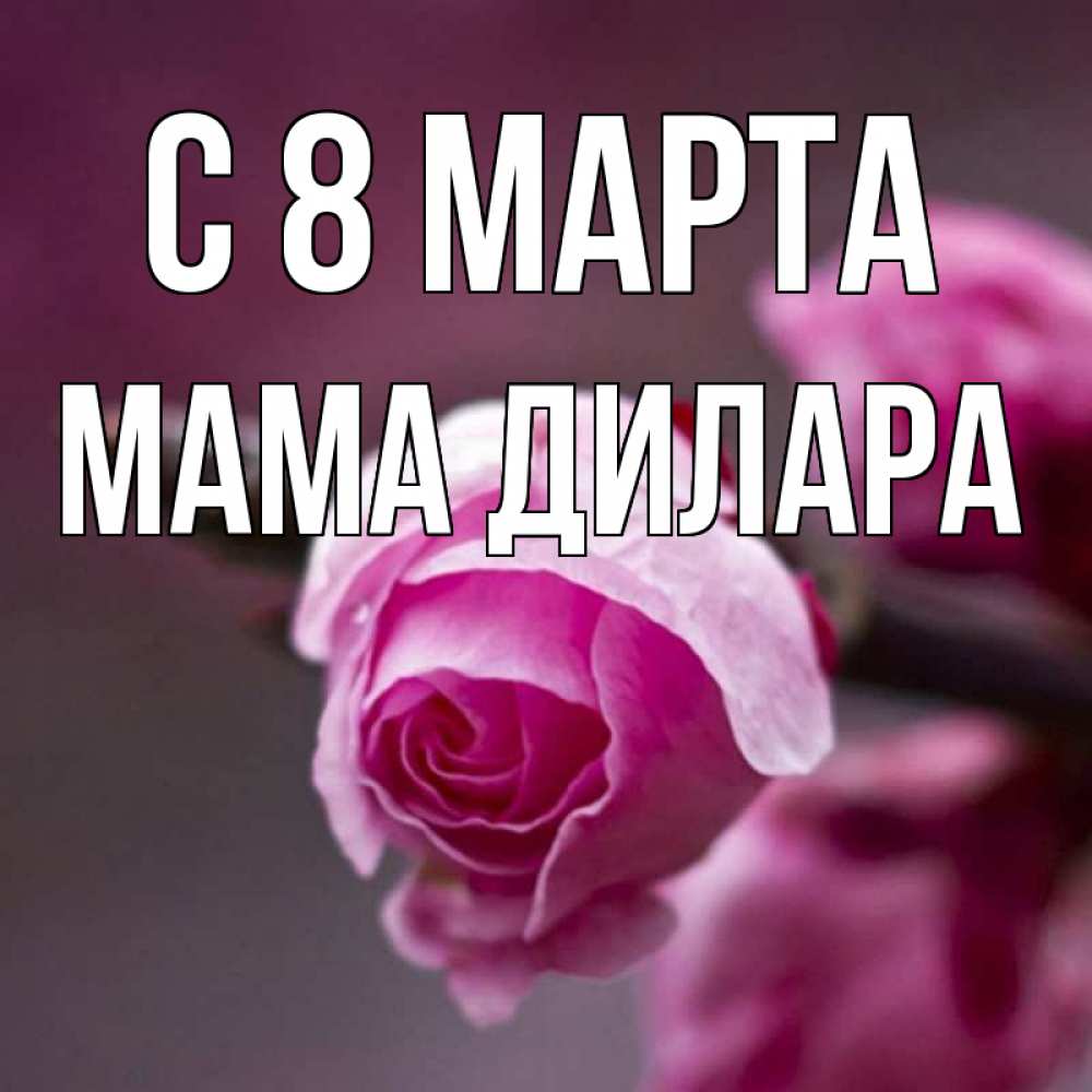 Открытка на каждый день с именем, Мама-Дилара С 8 марта весна Прикольная открытка с пожеланием онлайн скачать бесплатно 