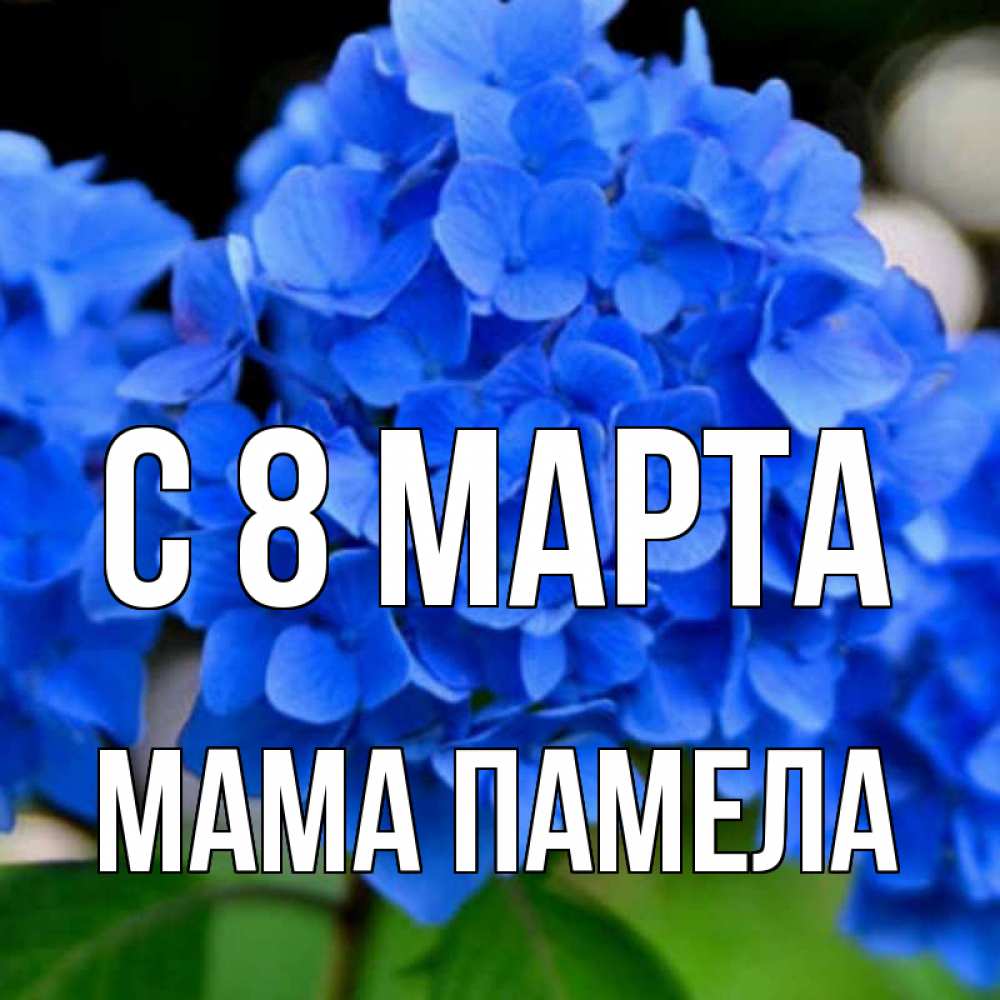 Открытка на каждый день с именем, Мама-Памела С 8 марта синие цветы Прикольная открытка с пожеланием онлайн скачать бесплатно 