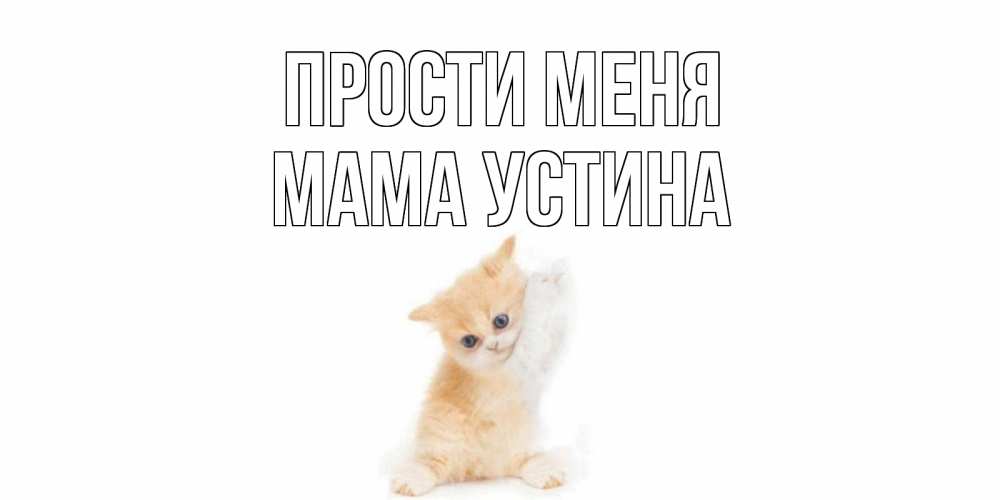 Открытка на каждый день с именем, Мама-Устина Прости меня кот Прикольная открытка с пожеланием онлайн скачать бесплатно 