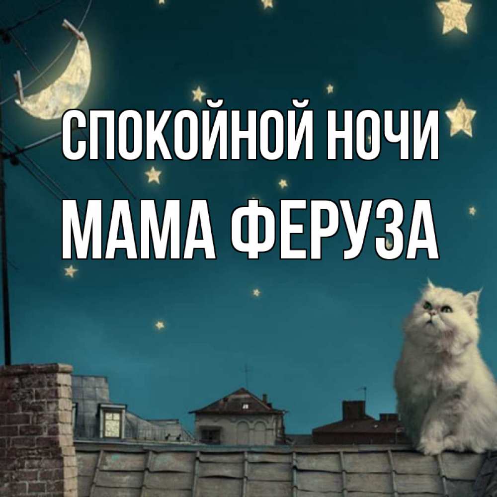 Открытка на каждый день с именем, Мама-Феруза Спокойной ночи белый кот сидит на крыше Прикольная открытка с пожеланием онлайн скачать бесплатно 