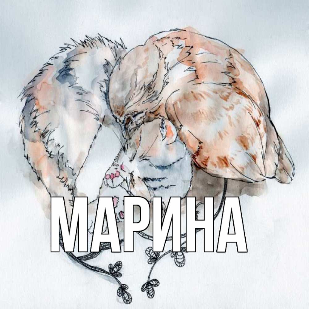 Открытка на каждый день с именем, Марина Главная можно быть вместе даже когда очень разные Прикольная открытка с пожеланием онлайн скачать бесплатно 