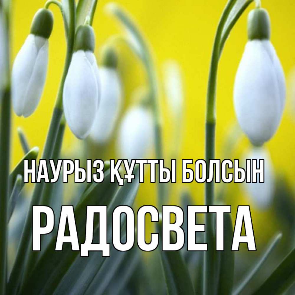 Открытка на каждый день с именем, Радосвета Наурыз құтты болсын весенние цветы Прикольная открытка с пожеланием онлайн скачать бесплатно 