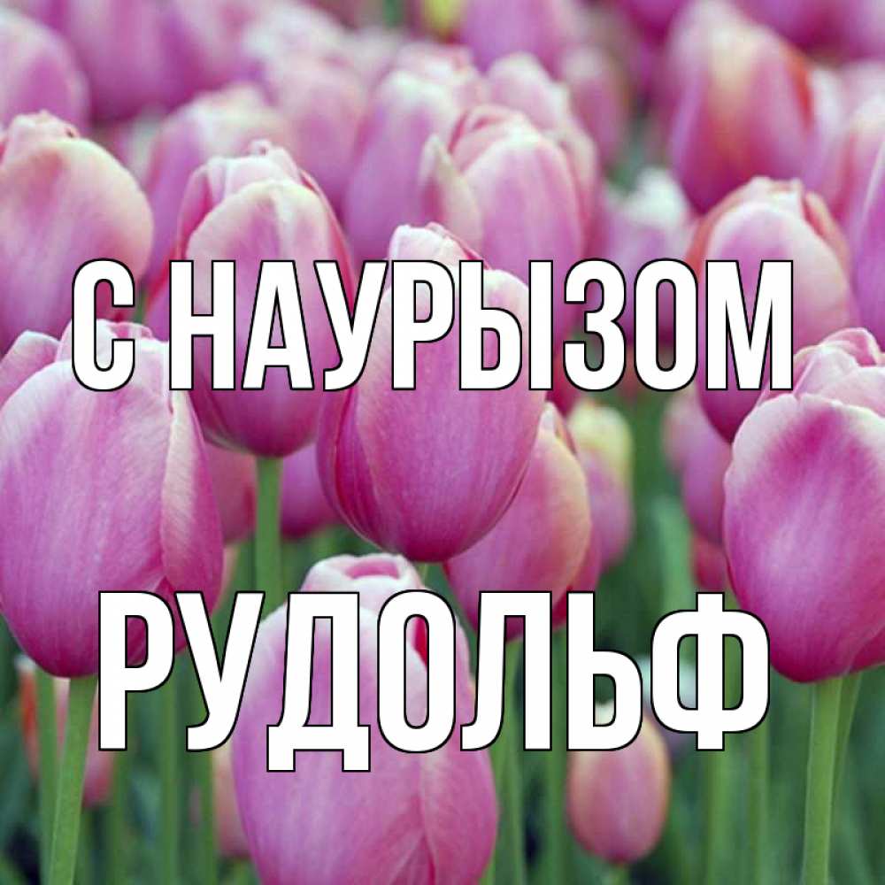Открытка на каждый день с именем, Рудольф С наурызом праздник весны наурыз 69 Прикольная открытка с пожеланием онлайн скачать бесплатно 