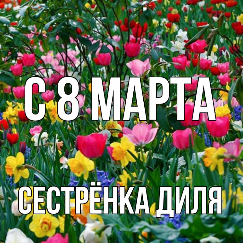 Открытка на каждый день с именем, Сестрёнка-Диля С 8 МАРТА с международным женским днем поздравления для женщины Прикольная открытка с пожеланием онлайн скачать бесплатно 