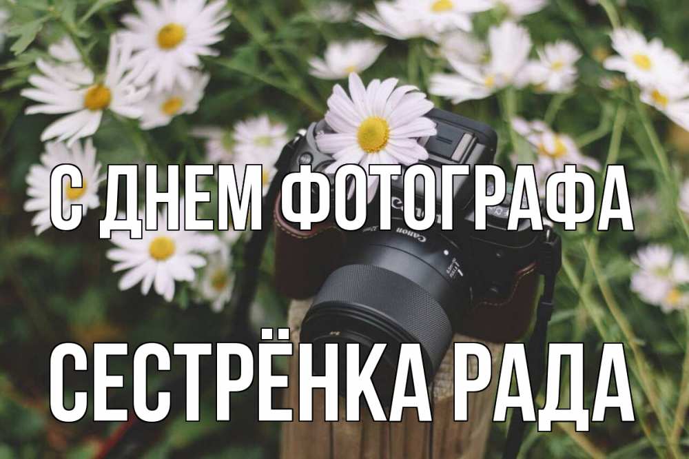 Открытка на каждый день с именем, Сестрёнка-Рада С днем фотографа с днем фотографа Прикольная открытка с пожеланием онлайн скачать бесплатно 